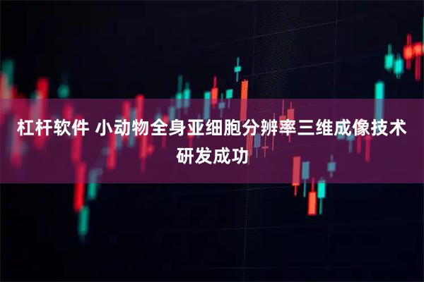 杠杆软件 小动物全身亚细胞分辨率三维成像技术研发成功