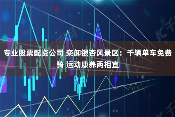 专业股票配资公司 栾卸银杏风景区：千辆单车免费骑 运动康养两相宜