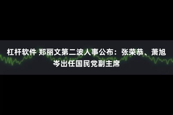 杠杆软件 郑丽文第二波人事公布：张荣恭、萧旭岑出任国民党副主席